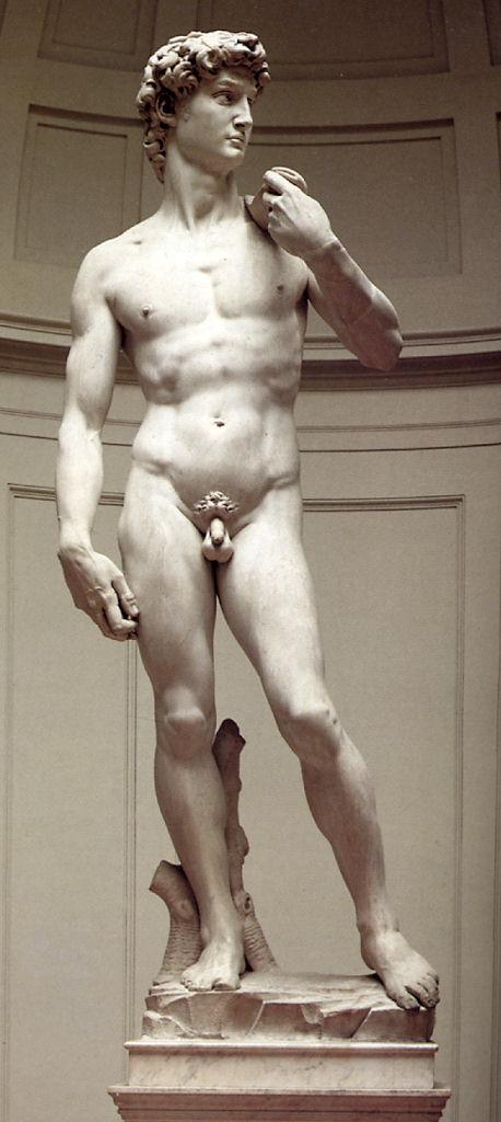David (statua) by Buonarroti Michelangelo (sec. XVI)