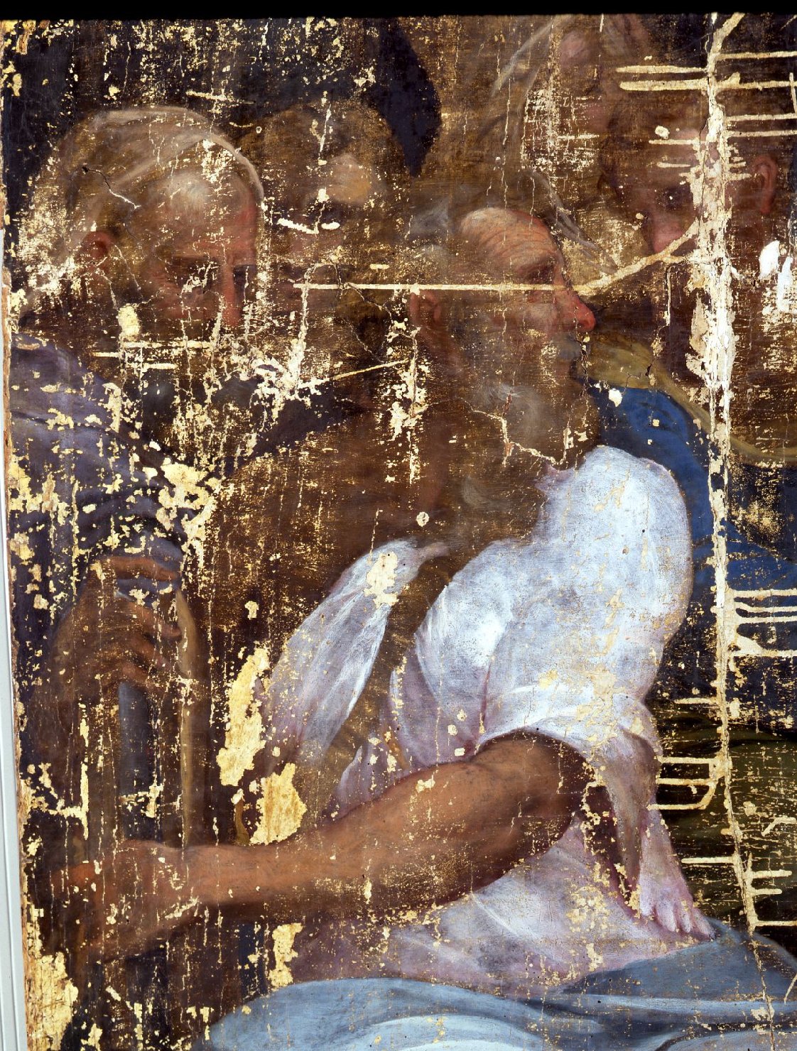 disputa di Ges&ugrave; con i dottori nel tempio (dipinto, opera isolata) di Alfa