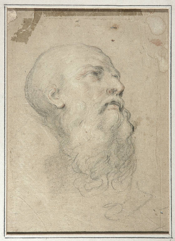 Studio di testa virile (disegno, opera isolata) - ambito emiliano (seconda met&a