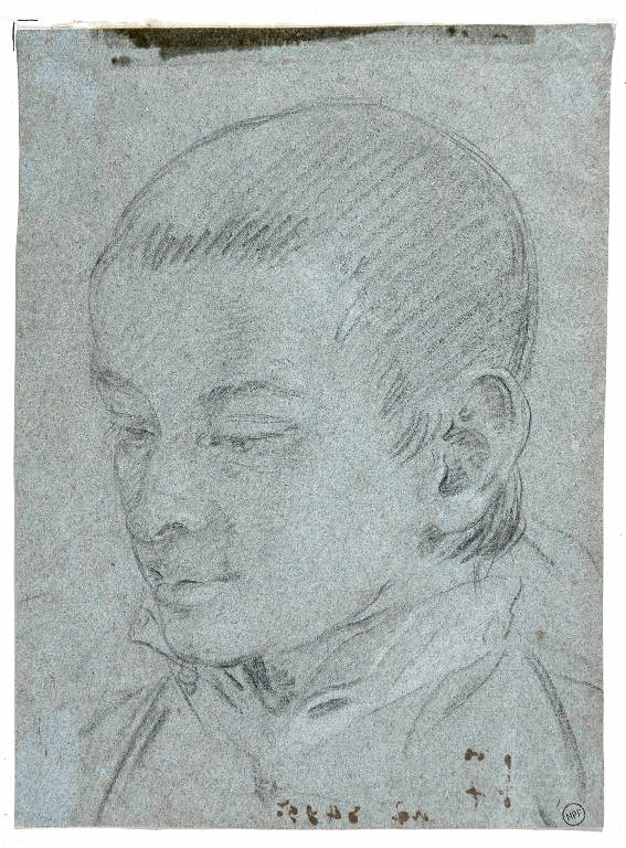 Studio di testa di ragazzo (disegno, opera isolata) - ambito veneto (met&agrave;
