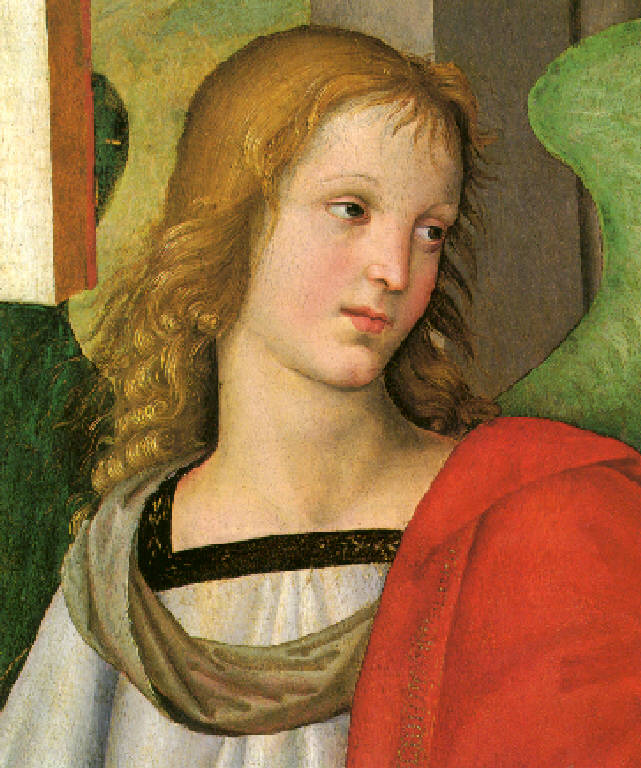 Angelo (dipinto, opera isolata) by Sanzio Raffaello (inizio sec. XVI)