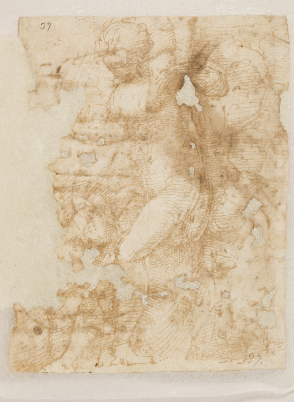 Venere e Cupido, studio di testa di vecchio barbuto (disegno) di Mazzola Frances