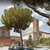 Basilica dei ss. bonifacio e alessio