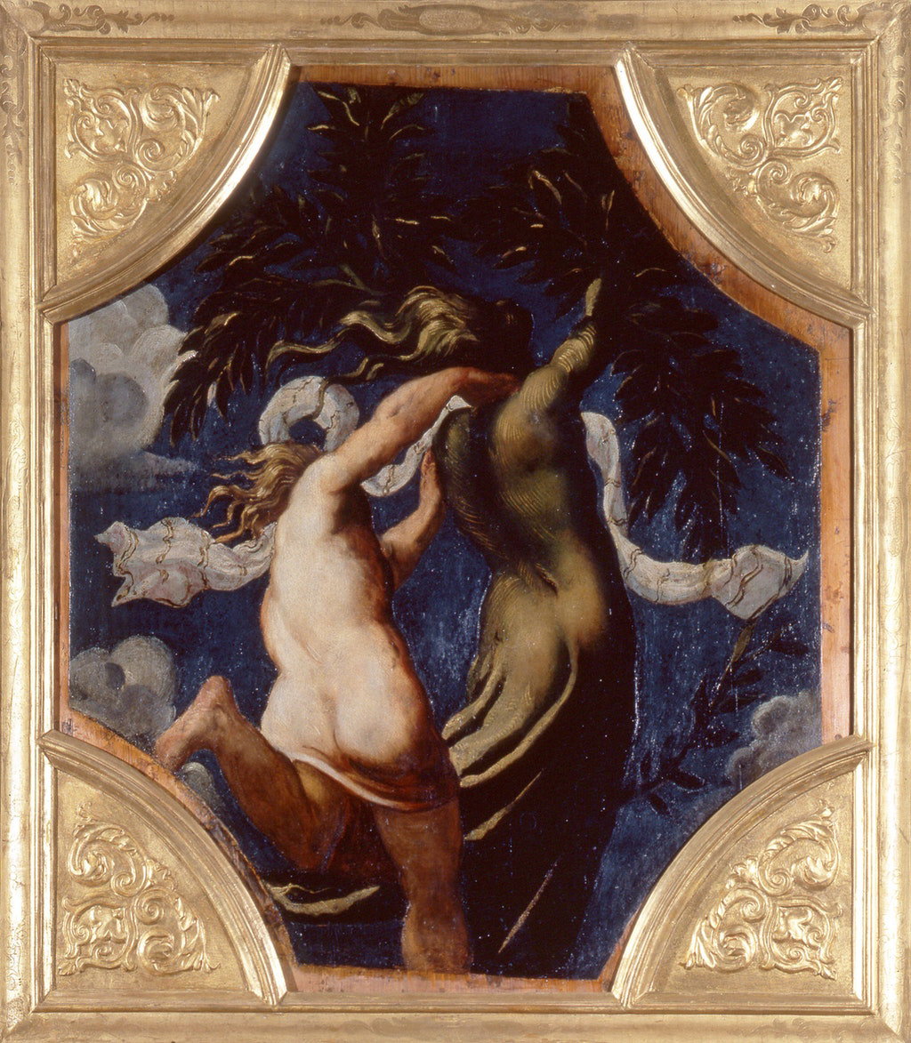Apollo e Dafne
