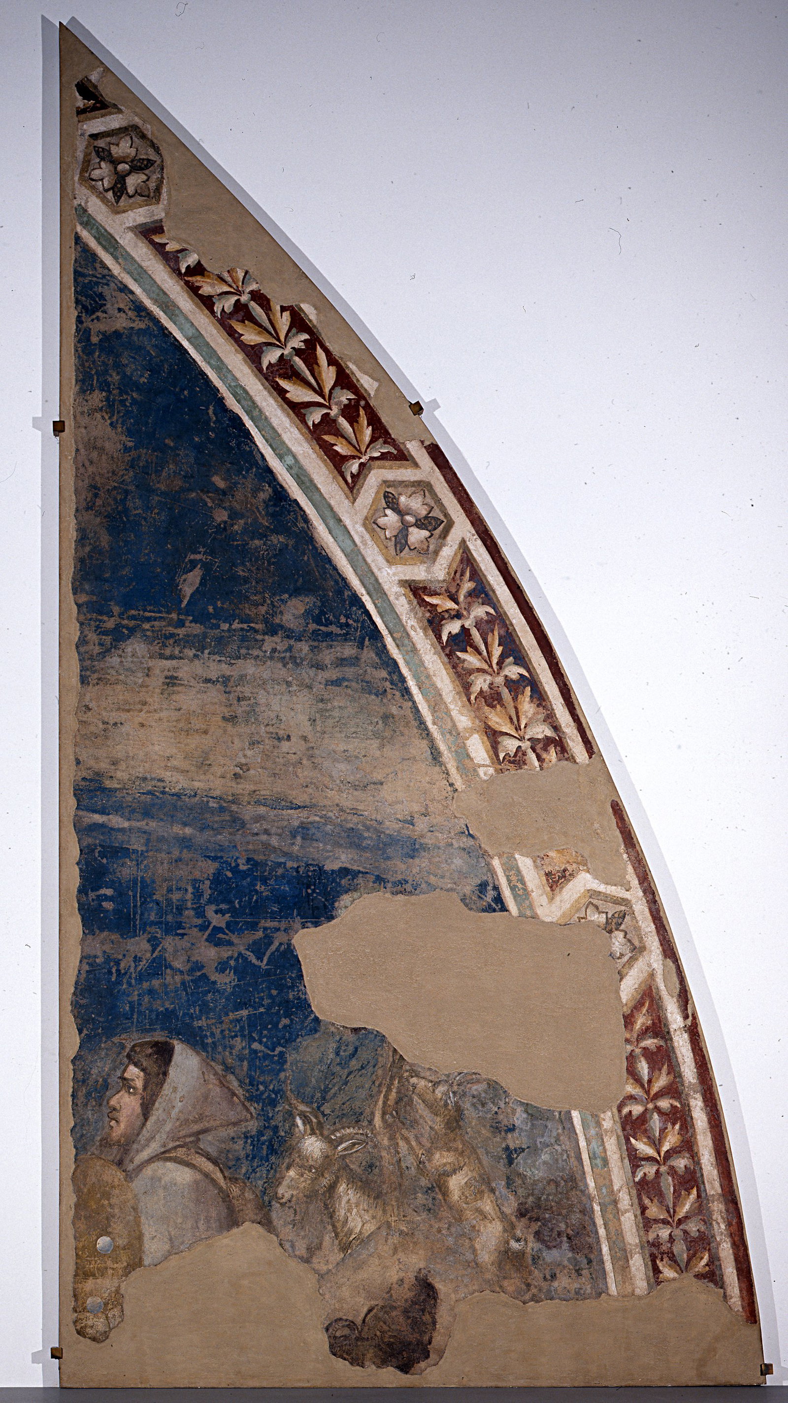 testa di pastore e armenti (dipinto murale staccato) by Giotto - ambito fiorenti