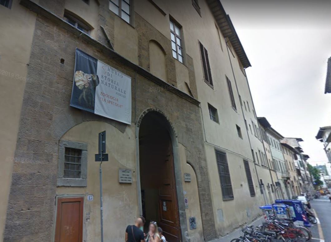 Palazzo torrigiani