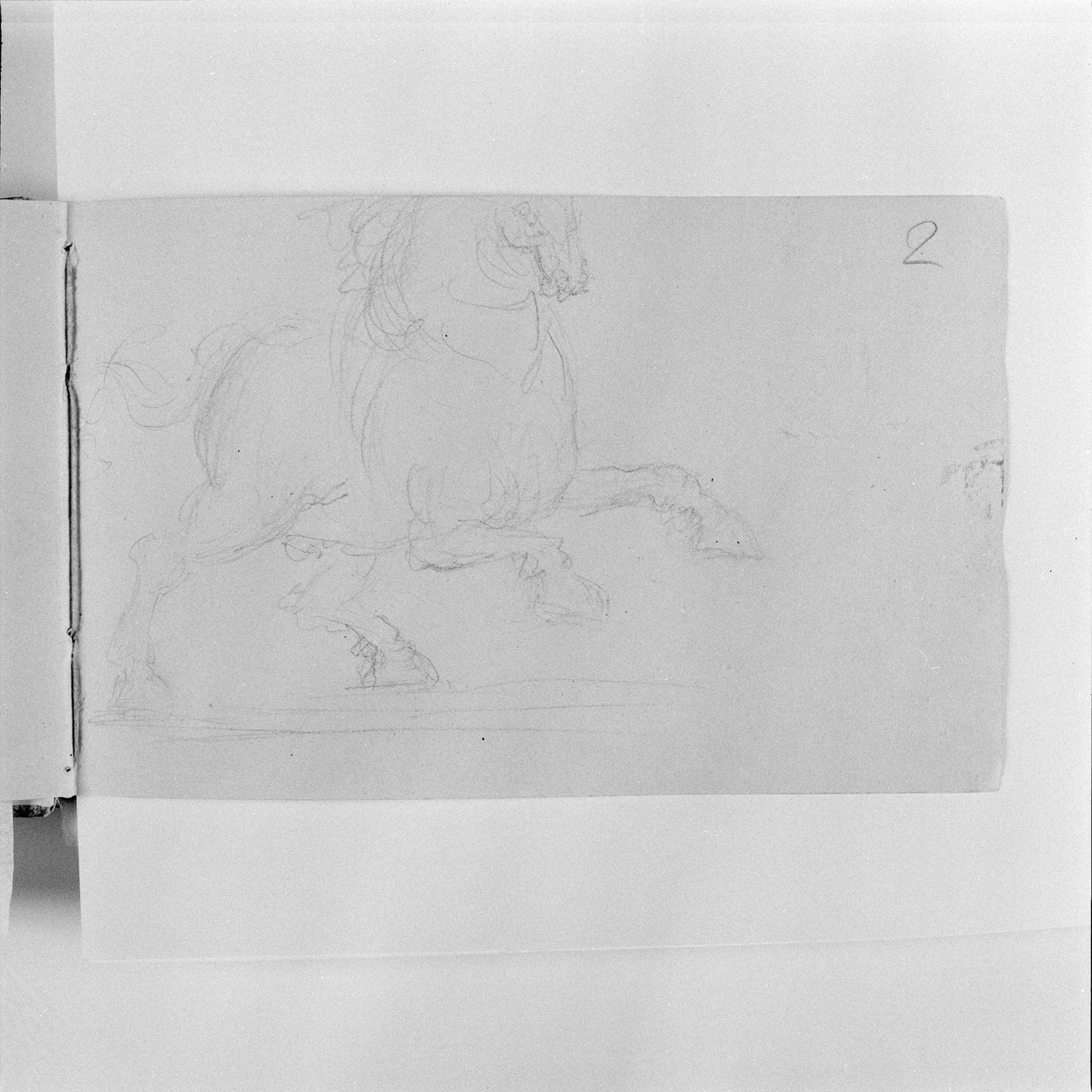 Studio di cavallo con le zampe anteriori sollevate (taccuino di disegni) di Cano