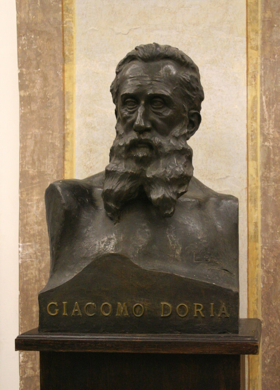 Ritratto del marchese Giacomo Doria (scultura, opera isolata) by Luigi Orengo (X