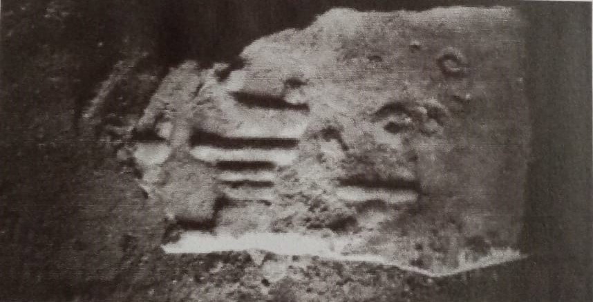 sarcofago/ fronte, Sarcofago "delle palme" (SECOLI/ ARCHI DI SECOLI/ I