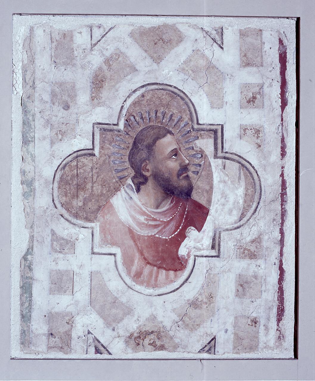 immagine di profeta in pittura frammentaria di Andrea Orcagna e aiuti (sec. XIV)