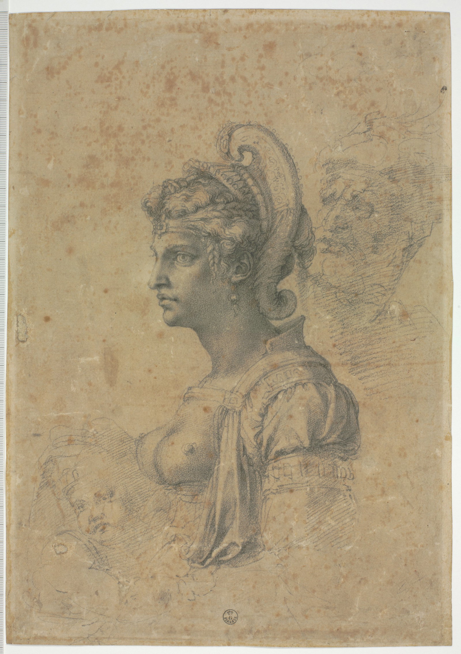 busto di donna di profilo a sinistra con elmetto, testa di vecchio con barba (v.