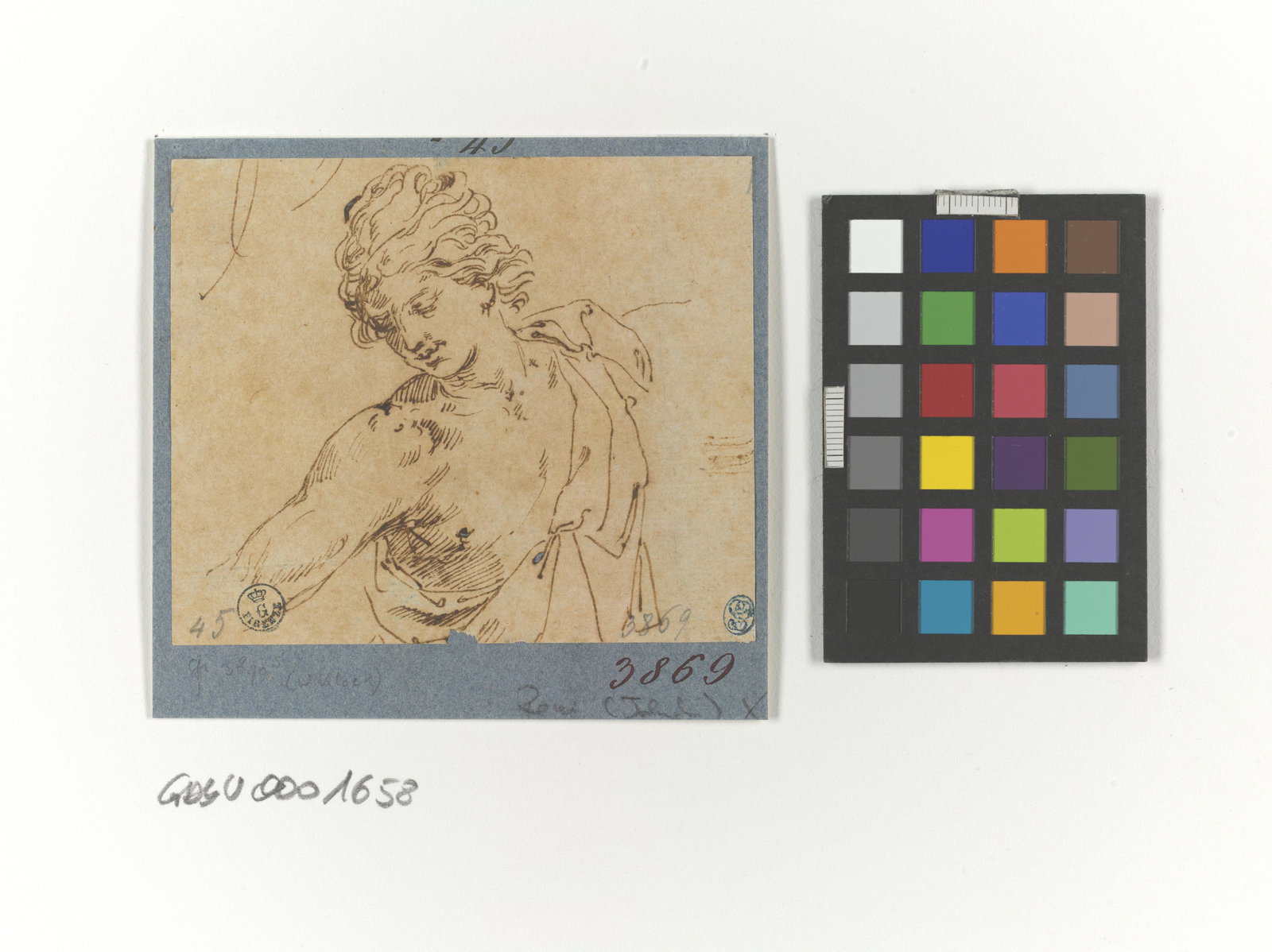 Studio di testa e torso di giovane (disegno) di Reni Guido (prima met&agrave; XV