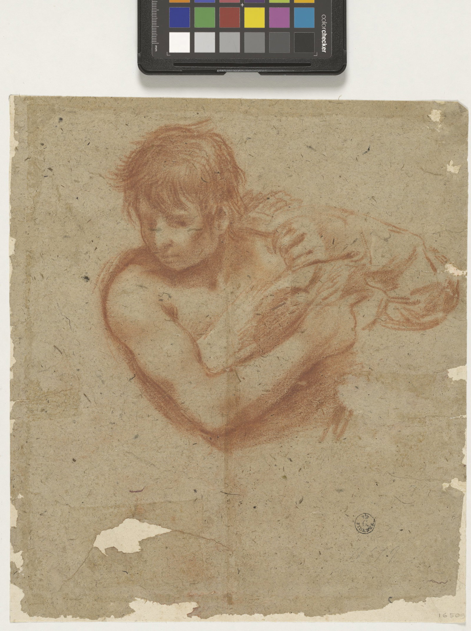 giovane uomo a mezza figura che si toglie la camicia (r.), testa di giovane uomo