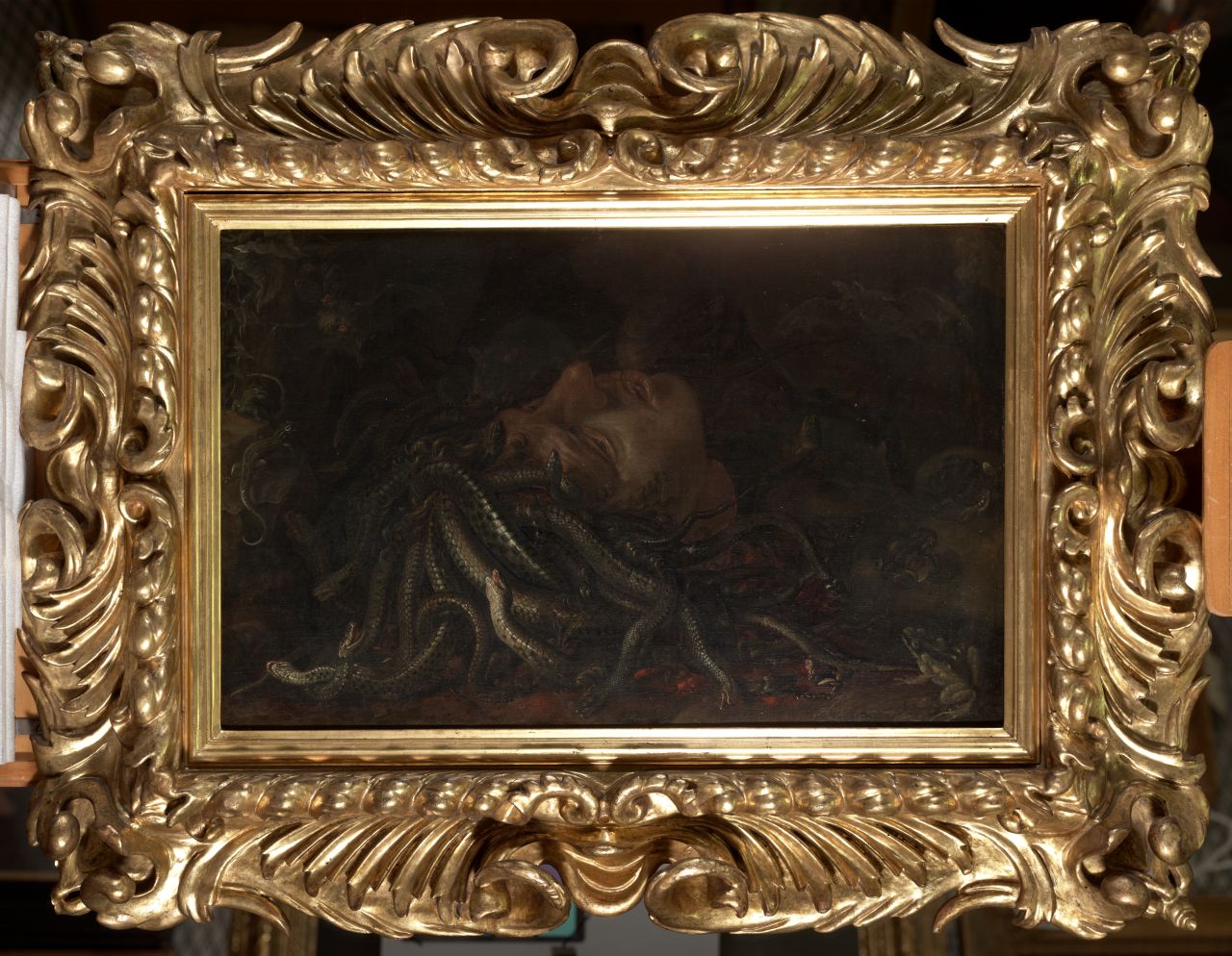 testa di Medusa (dipinto) - ambito fiammingo (sec. XVII)