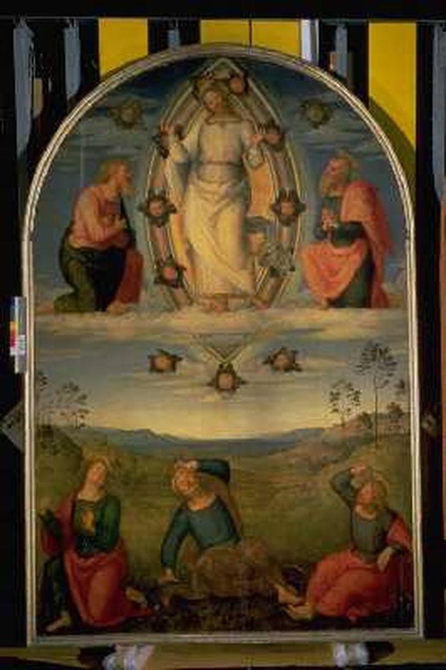 Trasfigurazione di Cristo (dipinto, elemento d'insieme) di Vannucci Pietro 