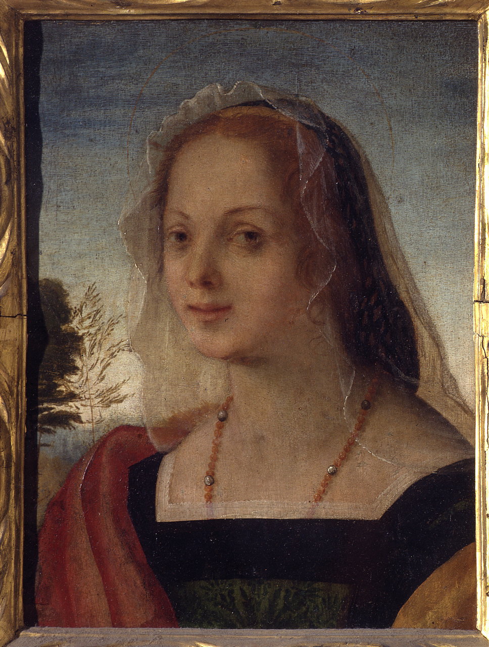 ritratto di giovane donna (dipinto) by Rosso Fiorentino (sec. XVI)