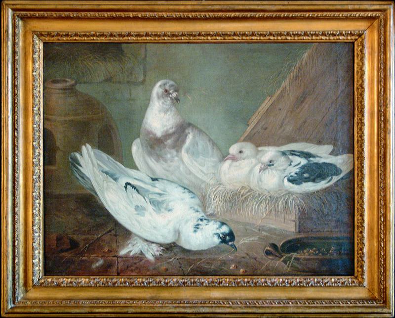 Colombi al covo (dipinto) by Vermoelen Jacob Xavier (secondo quarto XVIII)