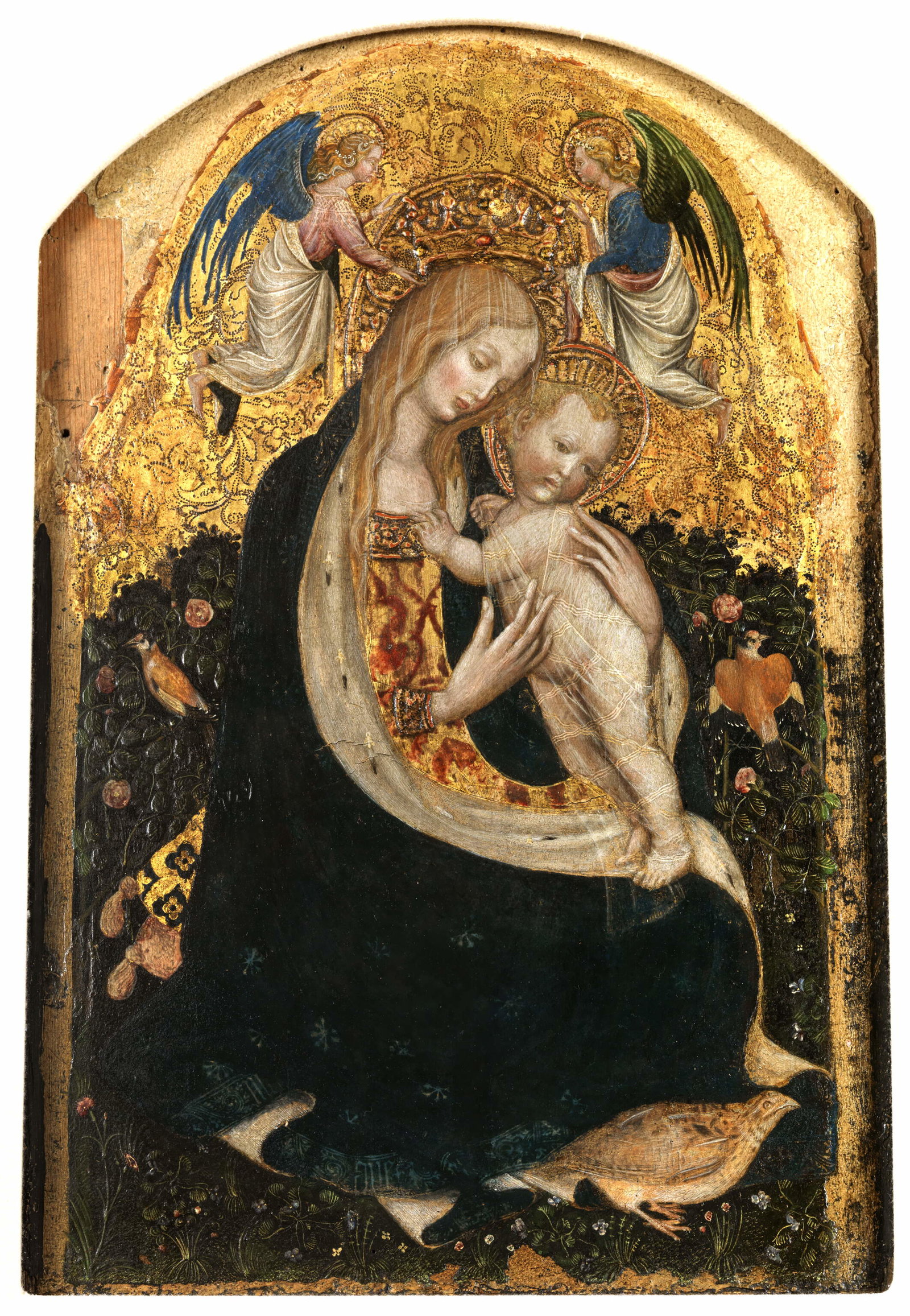 Madonna della quaglia
