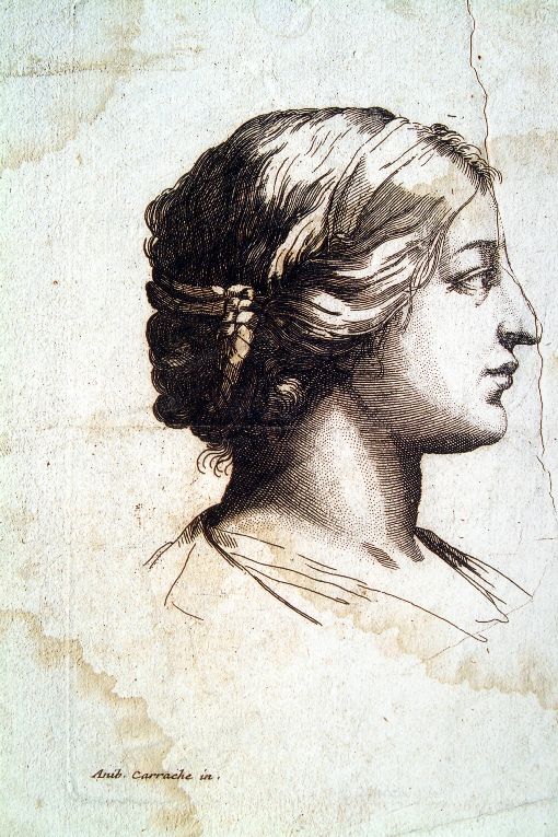 testa di donna di profilo (stampa smarginata) by Carracci Annibale (prima met&ag