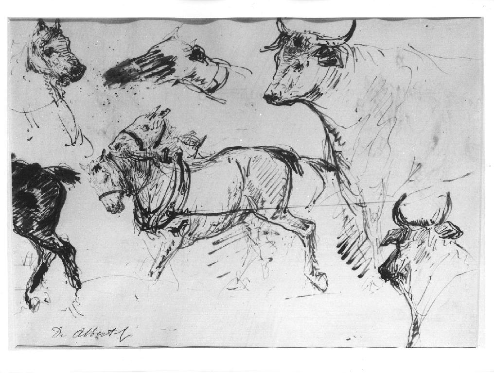 cavalli e mucche (studio) (disegno) by De Albertis Sebastiano (sec. XIX)