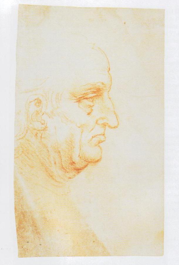 testa girata a destra (recto), ruota a rocchetti (verso) (disegno, opera isolata
