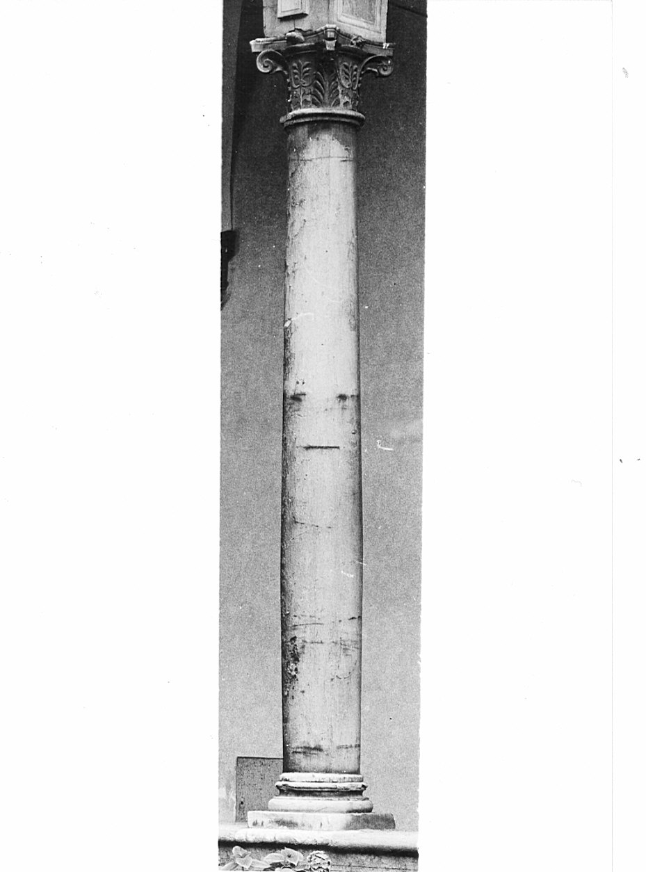 colonna, serie by Bramante Donato (attribuito) (inizio sec. XVI, sec. XVIII)