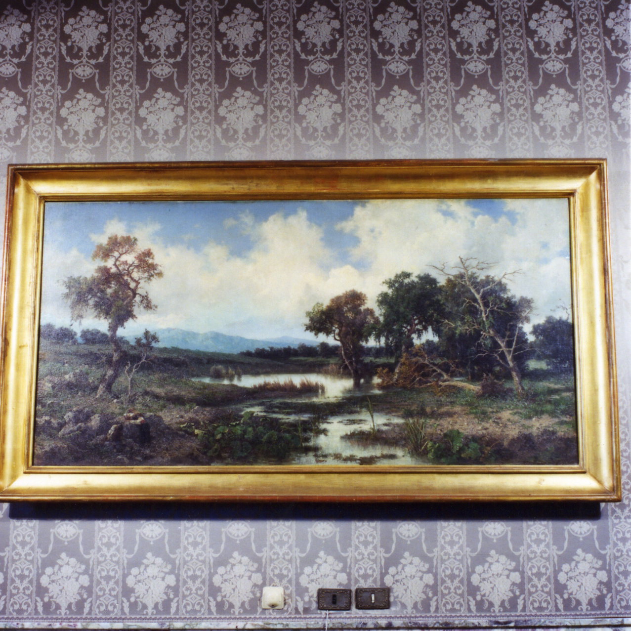 veduta delle paludi Pontine (dipinto) di Vertunni Achille (met&agrave; sec. XIX)