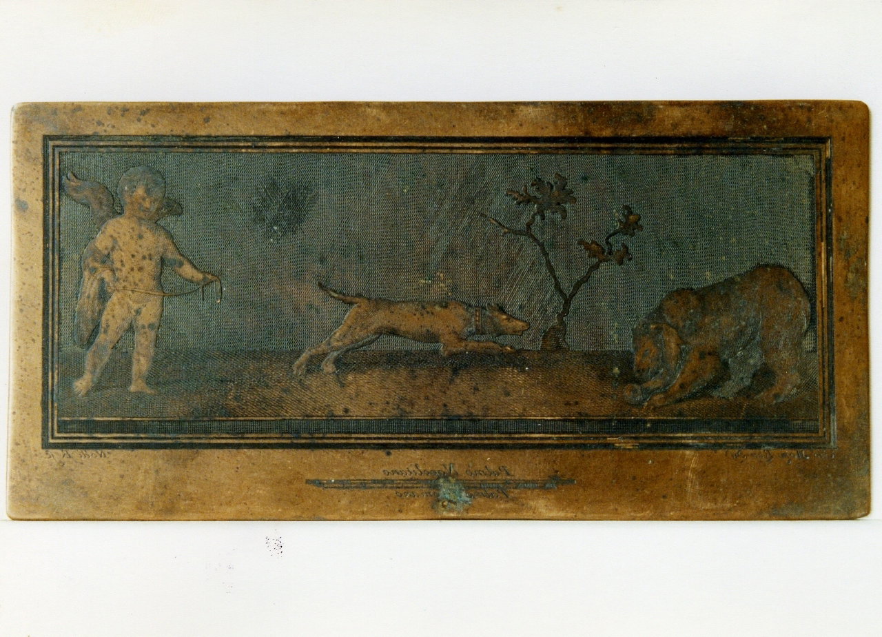 amorino con cane ed orso (matrice) by Nolli Carlo, Morghen Giovanni Elia (sec. X