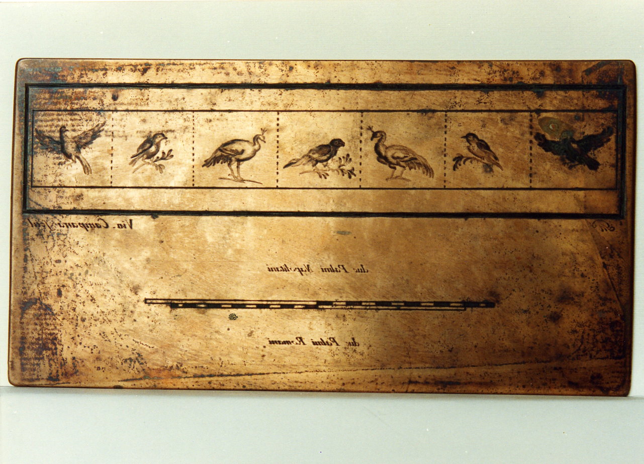 motivi decorativi con uccelli (matrice) by Morghen Giovanni Elia, Campana Vincen