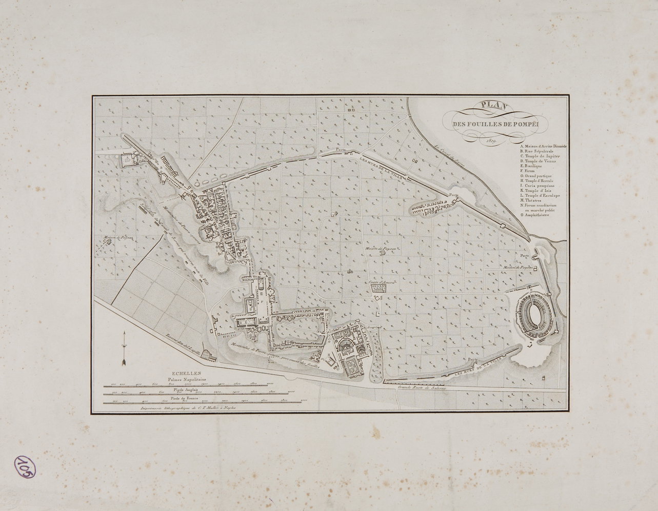 Pianta di Pompei (incisione) di Muller C. T (primo quarto sec. XIX)