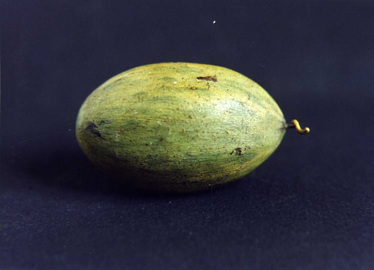 melone (scultura miniaturistica) - bottega napoletana (fine/inizio secc. XVIII/ 