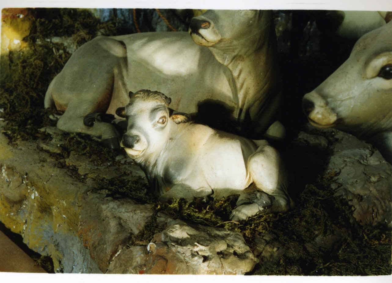 toro (statuetta di presepio) - bottega napoletana (seconda met&agrave; sec. XVII