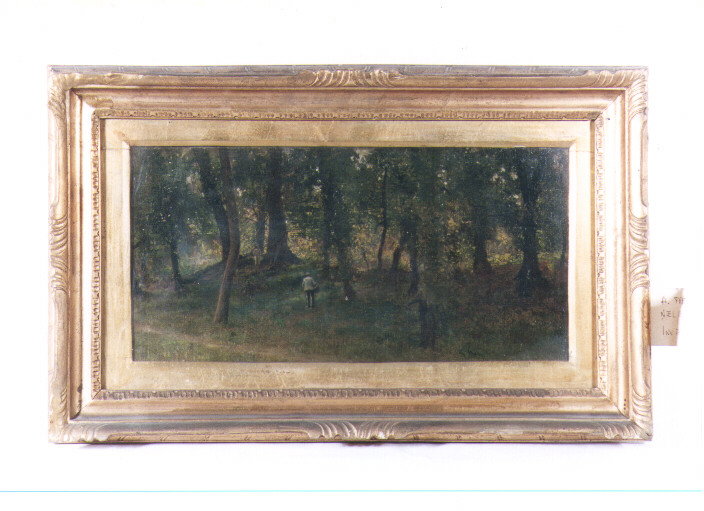 Nel bosco di Capodimonte