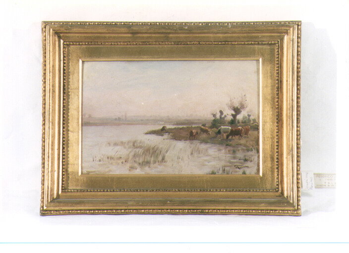 paesaggio lacustre (dipinto) by De Angelis Desiderio (sec. XIX)