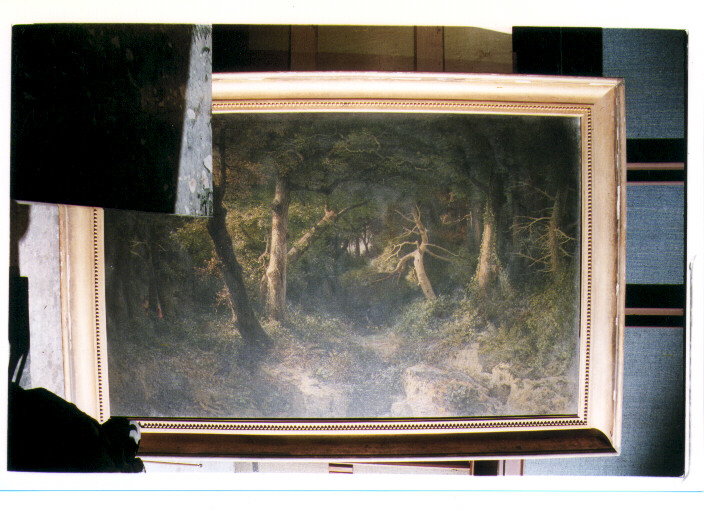 Bosco