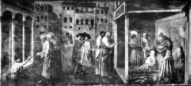 Episodi della Genesi e storie della vita di san Pietro (dipinto, ciclo) di Fini  