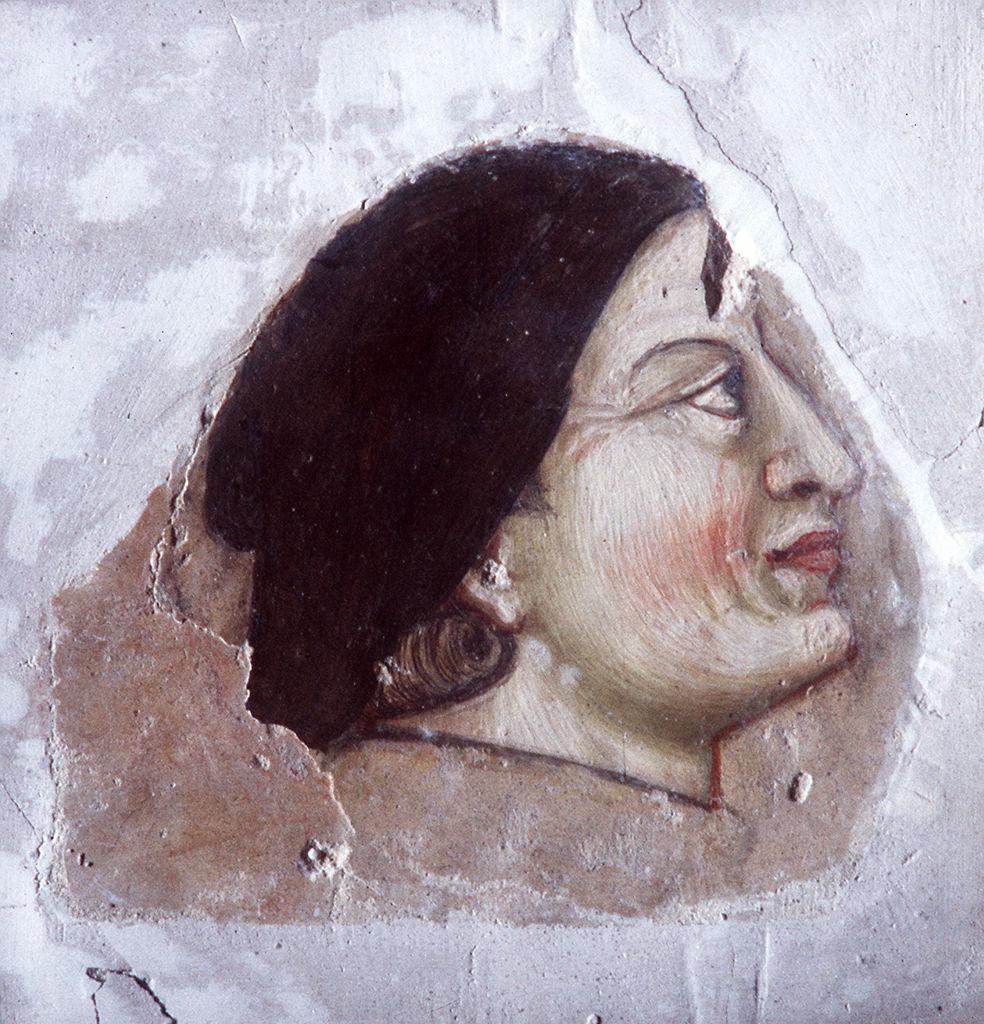 testa d'uomo (dipinto, frammento) by Giotto (e aiuti) (sec. XIV)