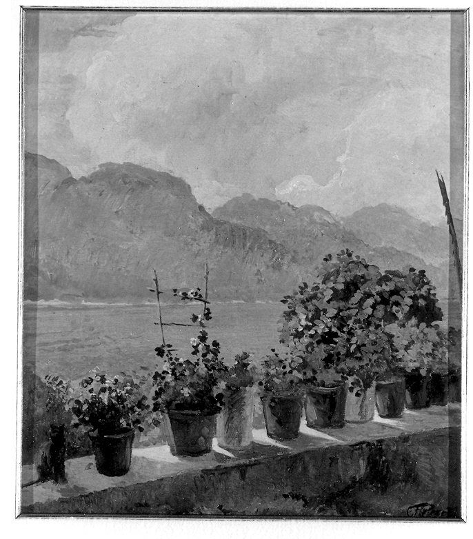 Terrazza sul lago