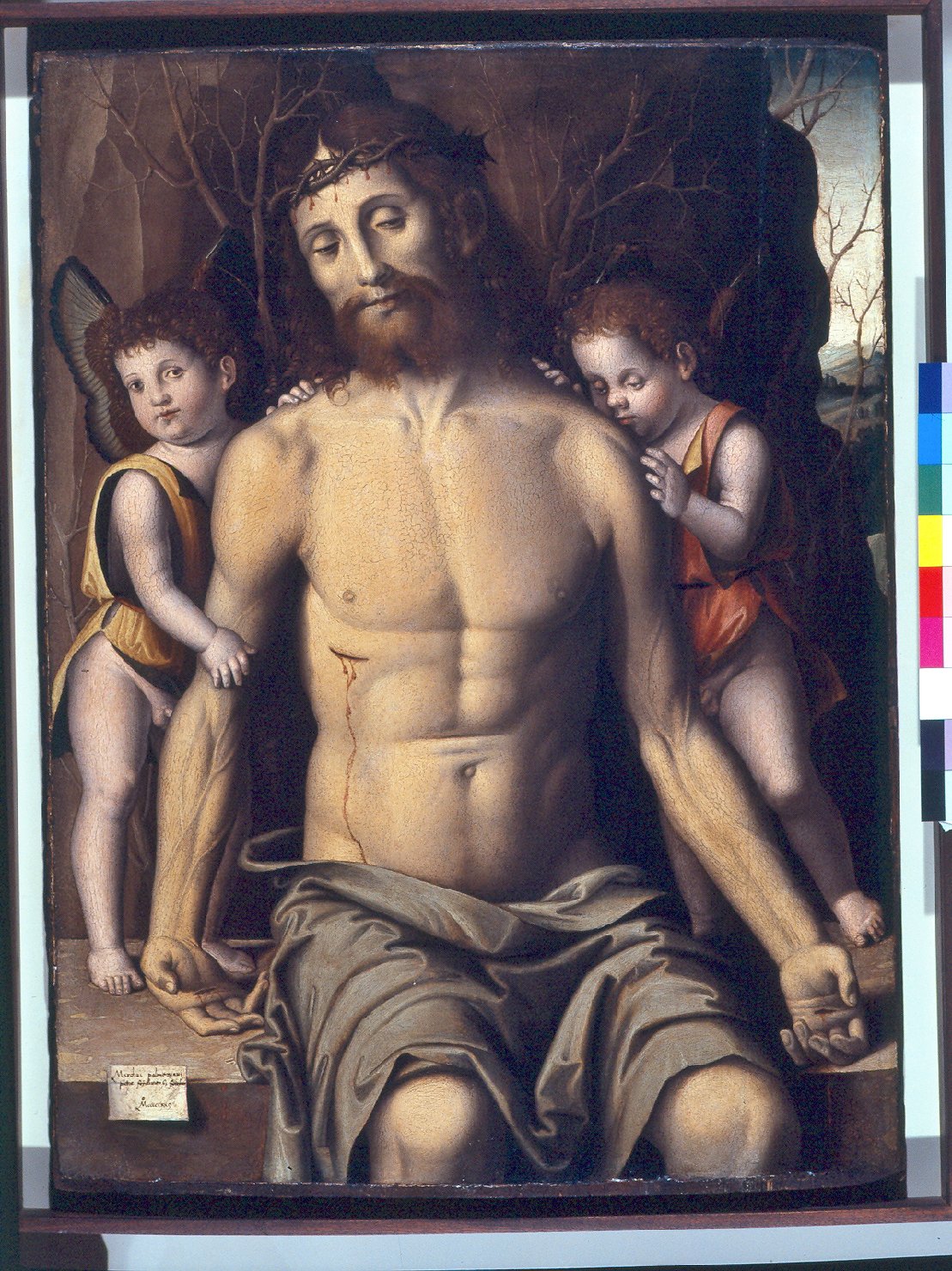 Cristo in piet&agrave; sorretto da angeli (dipinto, opera isolata) by Palmezzano