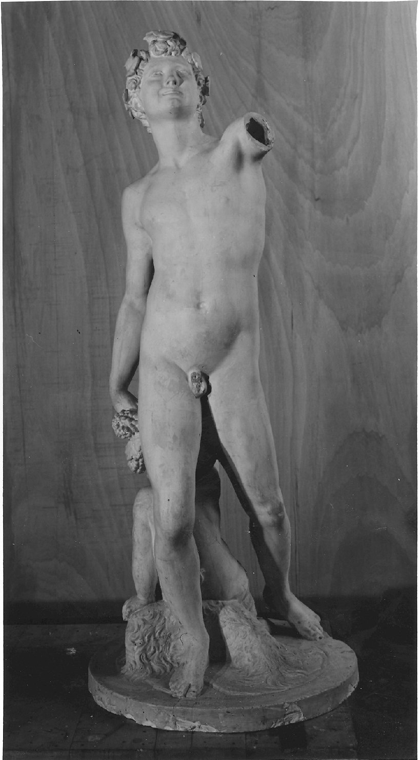 Bacco (statua, opera isolata) by Tatti Jacopo detto Sansovino (secc. XVIII/ XIX)
