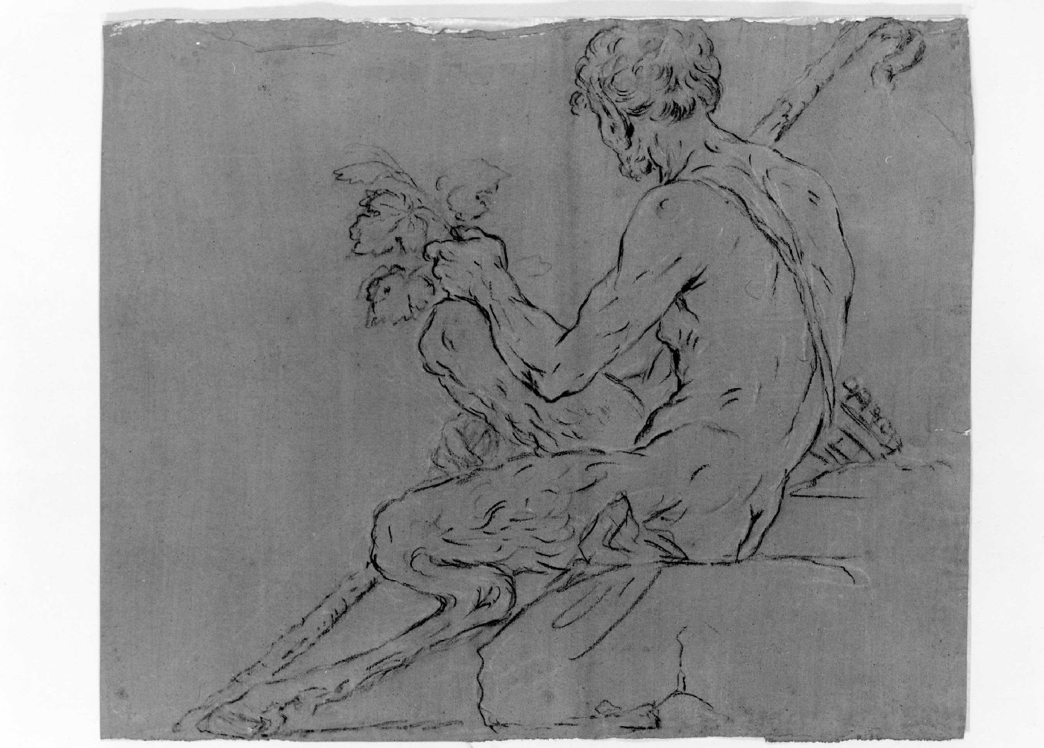 satiro (disegno) by Caliari Paolo detto Caliari Paolino (inizio sec. XIX)