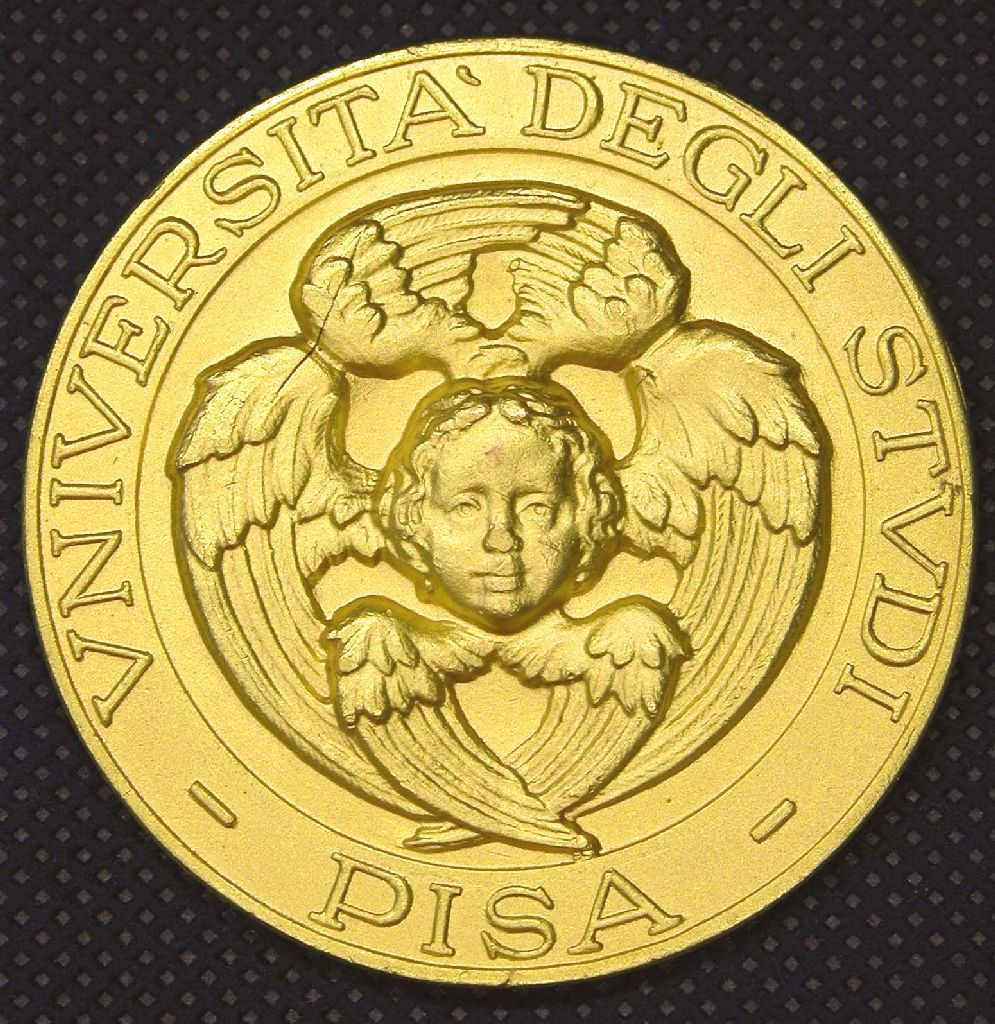 Diritto: Cherubino dell'Universit&agrave; di Pisa con attorno iscrizione; R