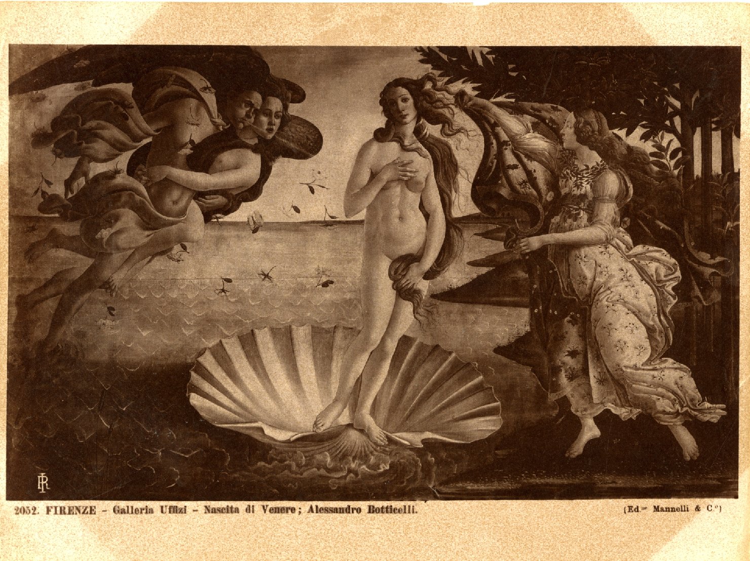 Nascita di Venere - Dipinti (positivo) di Botticelli, Sandro, Mannelli, Anchise 