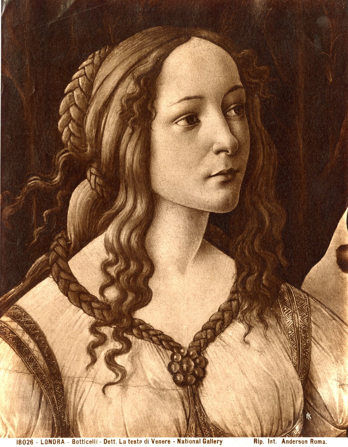 Venere - Dipinti (positivo) by Botticelli, Sandro, Anderson, Domenico (ditta) (X
