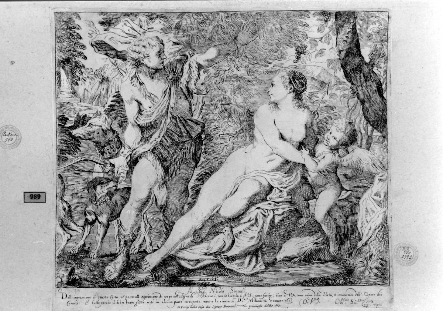 Venere e Adone (stampa smarginata) by Carracci Annibale, Scaramuccia Luigi Pelle