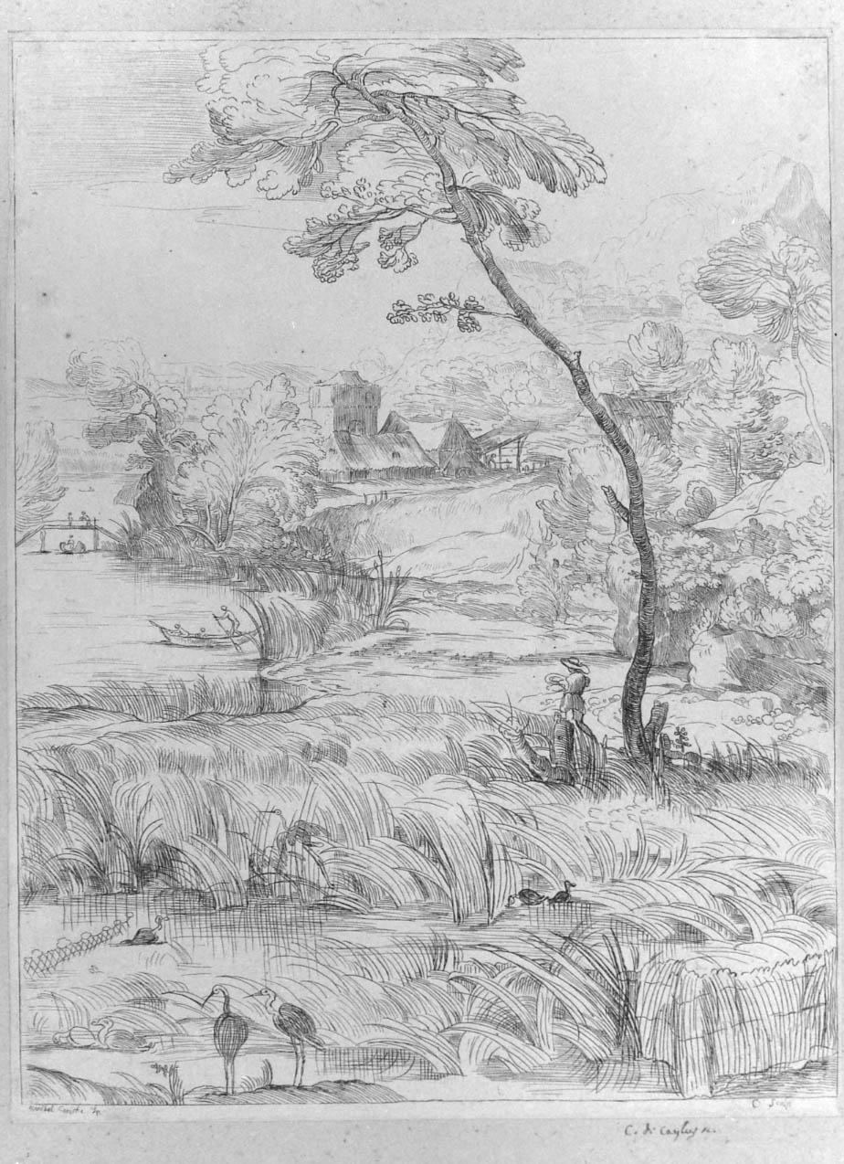 Paesaggio con albero e fenicotteri