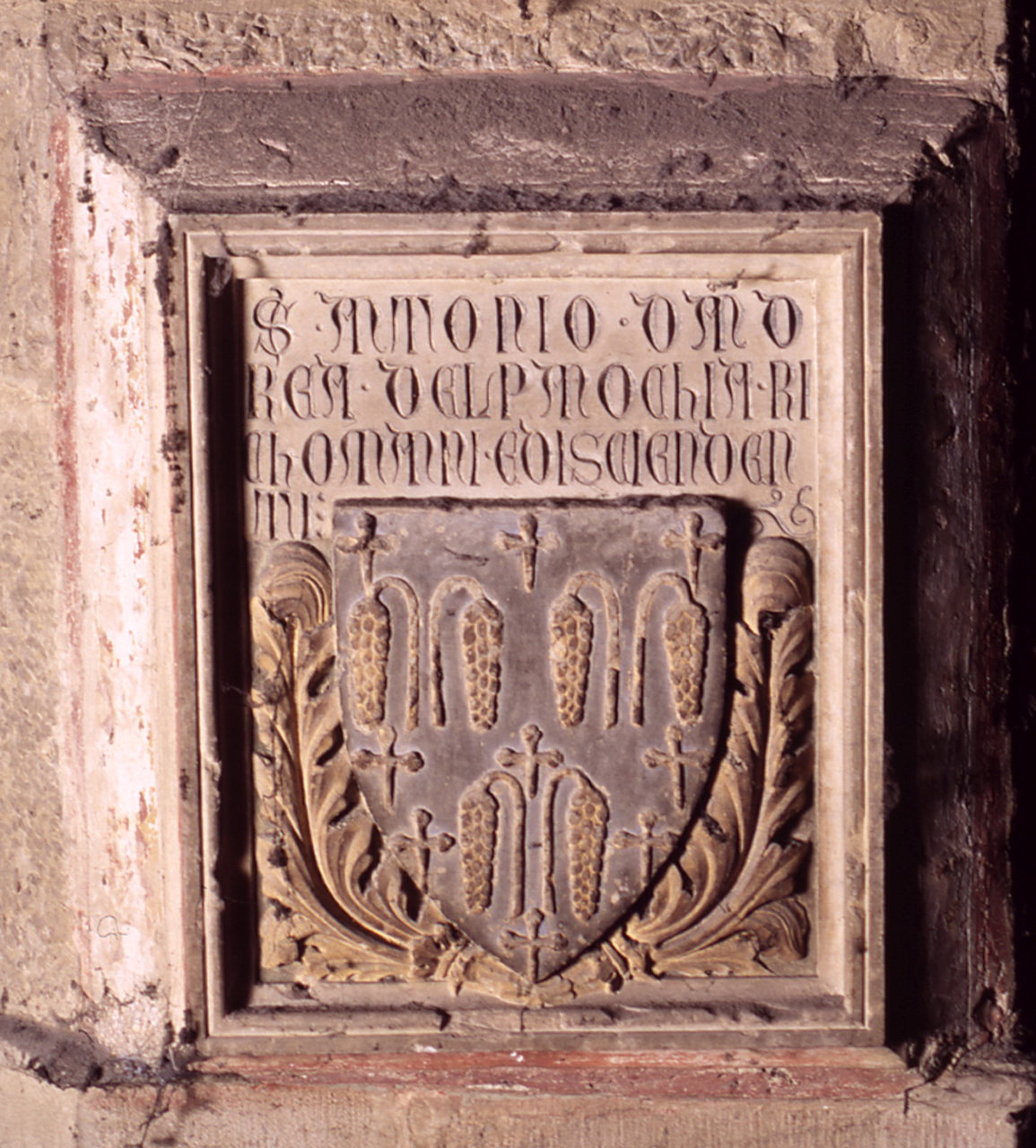 stemma gentilizio della famiglia Del Pannocchia Riccomanni (lapide tombale) - bo