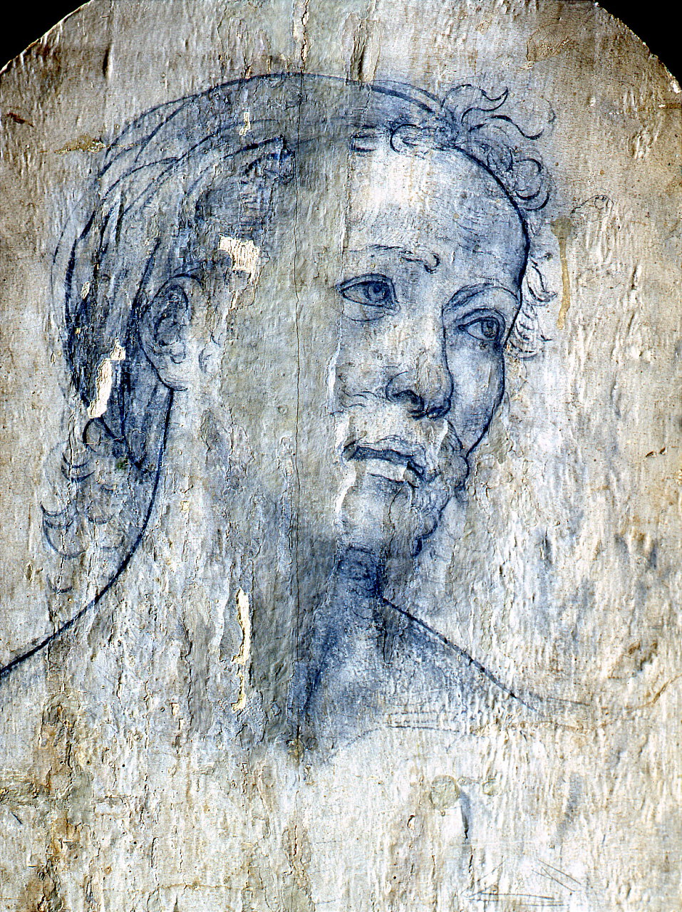 dipinto raffigurante la Madonna col Bambino di Lippi Filippo (sec. XV)