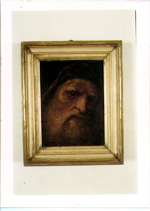 TESTA DI VECCHIO (DIPINTO) - ambito veneto (Seconda met&agrave; SEC. XVI)