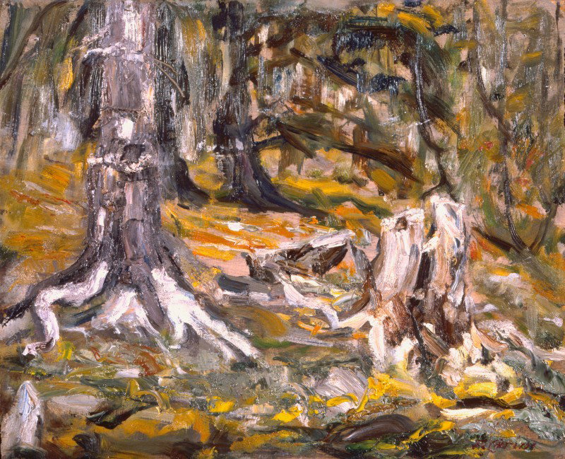 Sottobosco